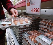 정부, 계란 수매 물량 시장에 공급