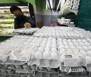 미국산 계란 판매 '계란값 고공행진 멈출까?'