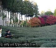 "녹차수도 보성 알린다"..'익사이팅 보성 영상대전' 수상작 선정