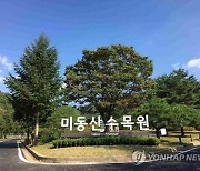 청주 미동산수목원 내년부터 유료화..시민단체 "유감"