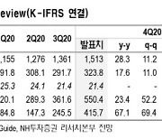 NAVER, 올해 영업이익 두자릿수 성장 전망-NH