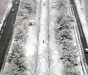 [오늘의 날씨]대전·충남(29일, 금)..눈 내리다가 오후 맑음