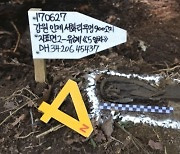 유해발굴감식단, 강원지역 발굴 6·25 전사자 신원 확인