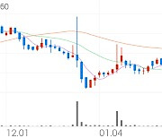 THE MIDONG, -7.48% VI 발동