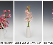 농진청 "국산 난 '심비디움' 꽃꽂이용으로 인기"