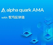 글로벌 페이먼트 플랫폼 '알파쿼크', 중국 블록체인 미디어 TuoniaoX와 AMA 개최