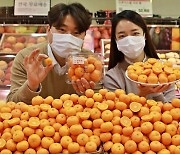 [주말쇼핑가이드] 확 비싸진 양파·고구마·버섯, 마트는 할인 판매 중