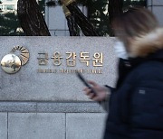 금감원 '공공기관 지정' 유보.. 공운위 "상위직 더 줄여라"