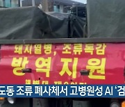 외도동 조류 폐사체서 고병원성 AI '검출'