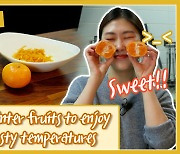 [Video] Korean winter fruits to enjoy during frosty temperatures