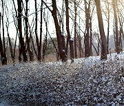 [포토친구] 겨울 꽃밭