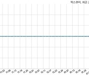 엑스큐어 불성실공시법인 지정