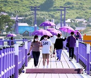 신안 '퍼플섬' 한국 대표관광지 100선에 들었다
