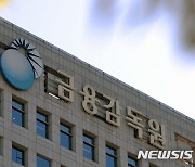 공공기관 지정 유보에 한숨 돌린 금감원.."조직 쇄신 박차"