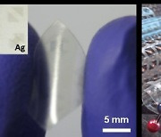 서울대 장호원 교수팀, 유연 기판 위 그래핀 미세 패턴 구현 성공