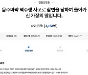 만취·역주행에 60대 택시기사 사망..유족 "엄중 처벌" 靑청원
