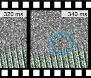 한국 연구진, 세계 첫 결정핵 생성 순간 관찰..'사이언스'지 게재