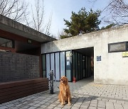 서울시, 남산공원 등에 반려동물 목줄거치대 설치