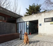 서울시, 남산공원 등에 반려동물 목줄거치대 설치