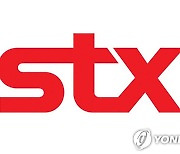 STX "마다가스카르 법인에 58억원 출자"