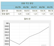 (표)환율 주간 동향