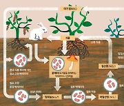 [고재현의 물리학으로의 초대] 공기로부터 빵을 얻는 방법