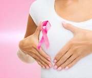 여성암 1위 유방암, AI로 진단 오류 52% 줄여