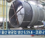작년 울산 광공업 생산 6.5%↓..코로나19 영향