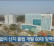 허가 없이 산지 불법 개발 60대 징역형