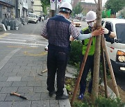 서울 강북구, 자연재해 지역안전도 진단평가 4년 연속 A등급