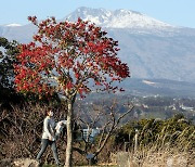 '가벼워진 산책'