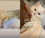 최희 딸, 엄마 배에서 숙면 "오늘도 내 폭신폭신한 배는 침대행" [Oh!마이 Baby]