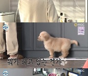 [툭-tv] '나 혼자 산다' 박은석, 반려동물 파양 논란에도 무편집 출연..몰리와 함께