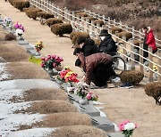 설 앞두고 성묘하는 성묘객들