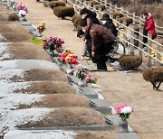 설 앞두고 조상의 묘 찾은 성묘객들