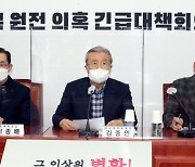 김종인 '북한 원전 건설 추진' 의혹에 국정조사 카드로 맹폭