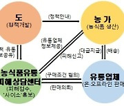 경북도, 전국 최초 '농식품 유통피해 상담센터' 효과 '톡톡'