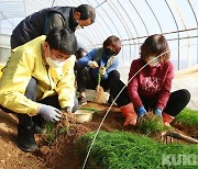 맹정호 서산시장, 설맞아 달래농가-서산옛날생강한과 업체 찾아 격려