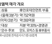 '애플카 수혜' 대성엘텍..인수합병 매물로 나온다