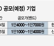 씨앤투스성진 후폭풍 있을까..피엔에이치테크 공모 청약