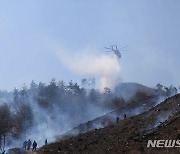 "도민 안전 최우선"..산불피해 방지 위해 291억 투자