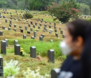 '고향방문·이동 자제' 전남도 설연휴 특별방역 추진