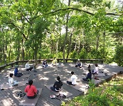 전남산림자원연구소, 숲 체험 '산림서비스' 만족