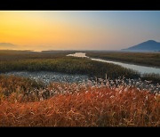 순천만습지 등 전남 7곳, 한국 관광 100선 선정