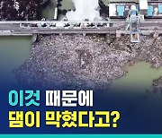 [비디오머그] 이게 전부 다 플라스틱..쓰레기로 뒤덮힌 세르비아 호수 상황