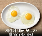 [카드뉴스] 계란에 대해 모두가 알아야 할 상식