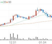 올리패스, +9.39% VI 발동