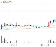 에이디칩스, +8.55% VI 발동