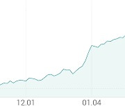 [강세 토픽] 시스템반도체 (비메모리 반도체) 테마, 디아이 +6.31%, 서플러스글로벌 +6.15%