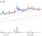 SBI인베스트먼트, +4.63% 상승폭 확대